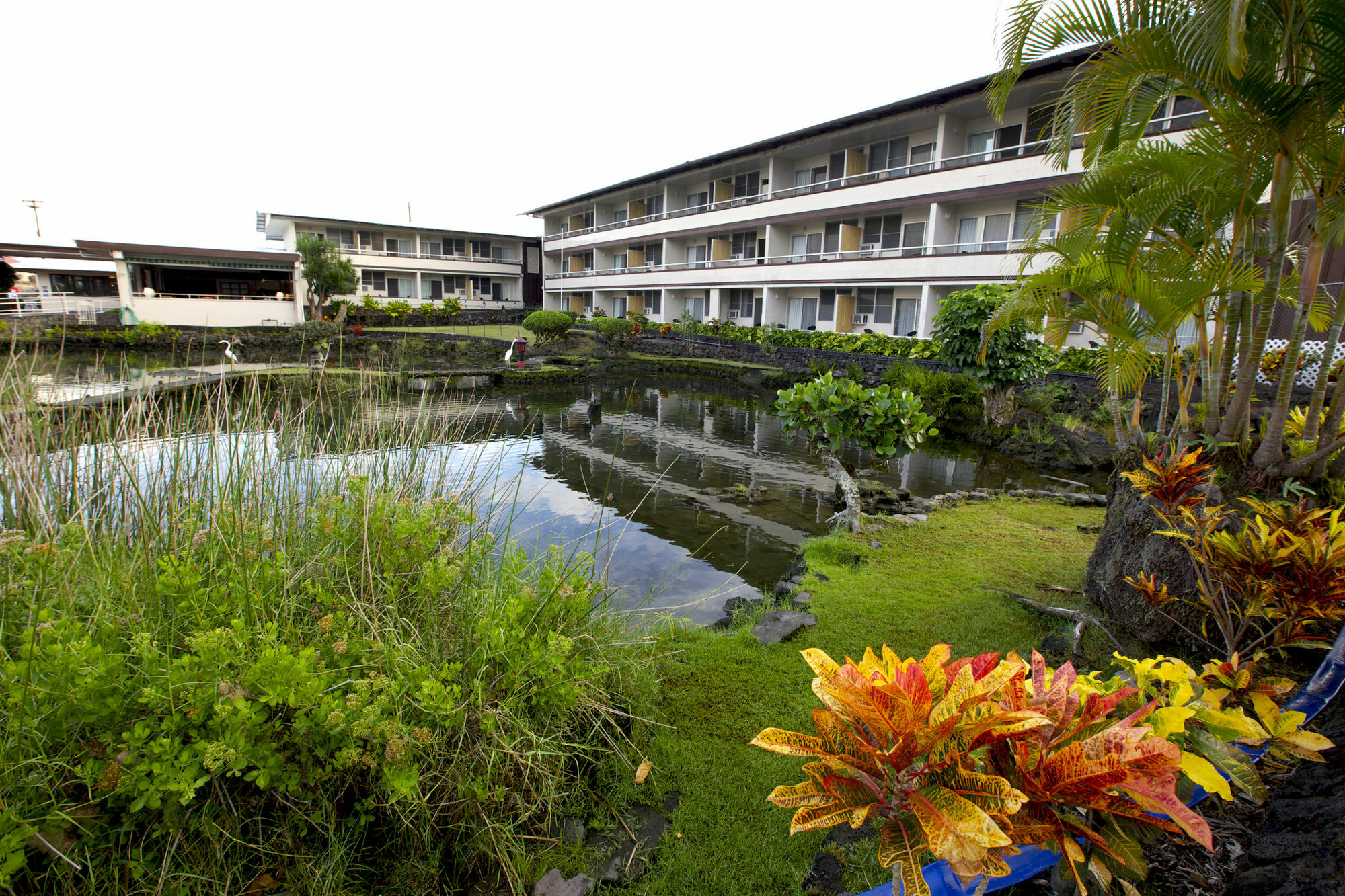 Scp Hilo Hotel Exterior foto